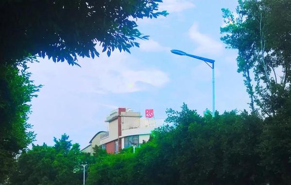 那一抹嫣紅，一世驕傲